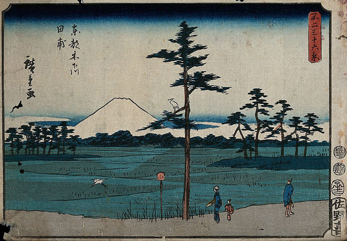 Рисовые поля в Киношитагаве в Эдо