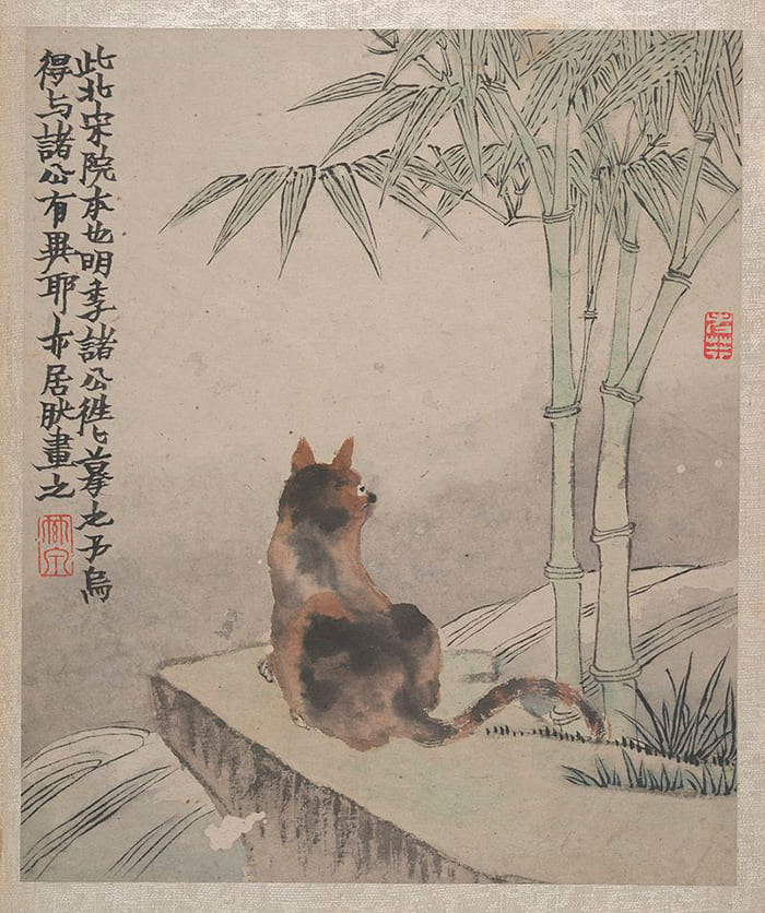 Кошка и бамбук, Цзинь Нун